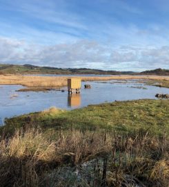 RSPB Nature Reserve Lochwinnoch