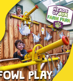 Heads Of Ayr Farm Park