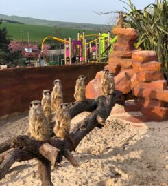 Heads Of Ayr Farm Park