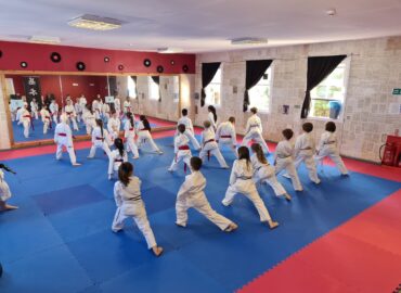 Kihonkai Karate Academy