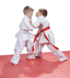 Clyde Judo Club