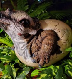 Jurassic Grill Loch Lomond