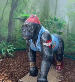 The Children’s Escape and Serenity Garden