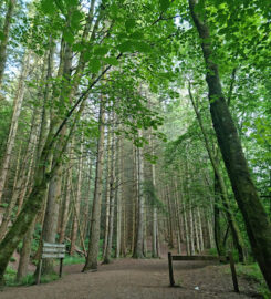 Chatelherault Country Park