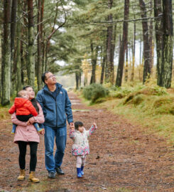Tentsmuir forest and beach