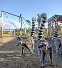 Fife Zoo
