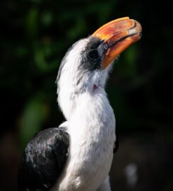 Fife Zoo